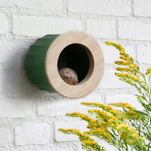 Afbeelding in Gallery-weergave laden, Cactus Vogel & Voederhuisje