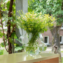 Afbeelding in Gallery-weergave laden, Weltevree | Local habitat