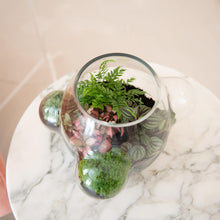 Afbeelding in Gallery-weergave laden, Weltevree | Local habitat