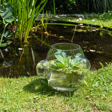 Afbeelding in Gallery-weergave laden, Weltevree | Local habitat