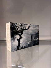 Afbeelding in Gallery-weergave laden, Bonaire
