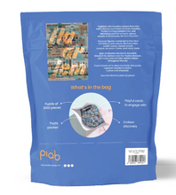 Afbeelding in Gallery-weergave laden, Puzzle in a Bag Haarlem - Hoe goed ken jij Haarlem écht?

