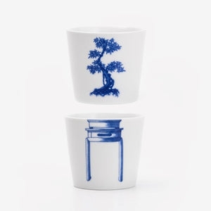 Bonsai cups Japanese Maple