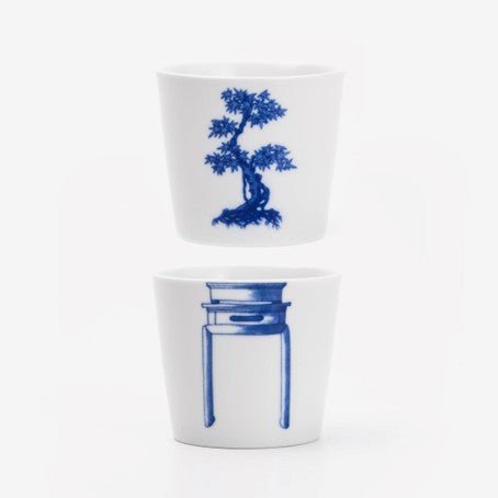 Bonsai cups Japanese Maple