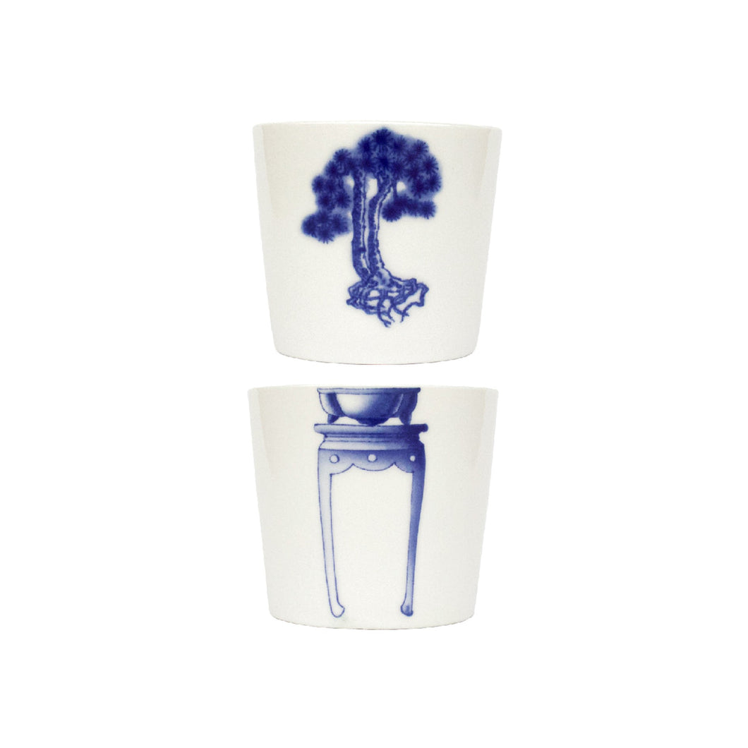 Bonsai cups Pine