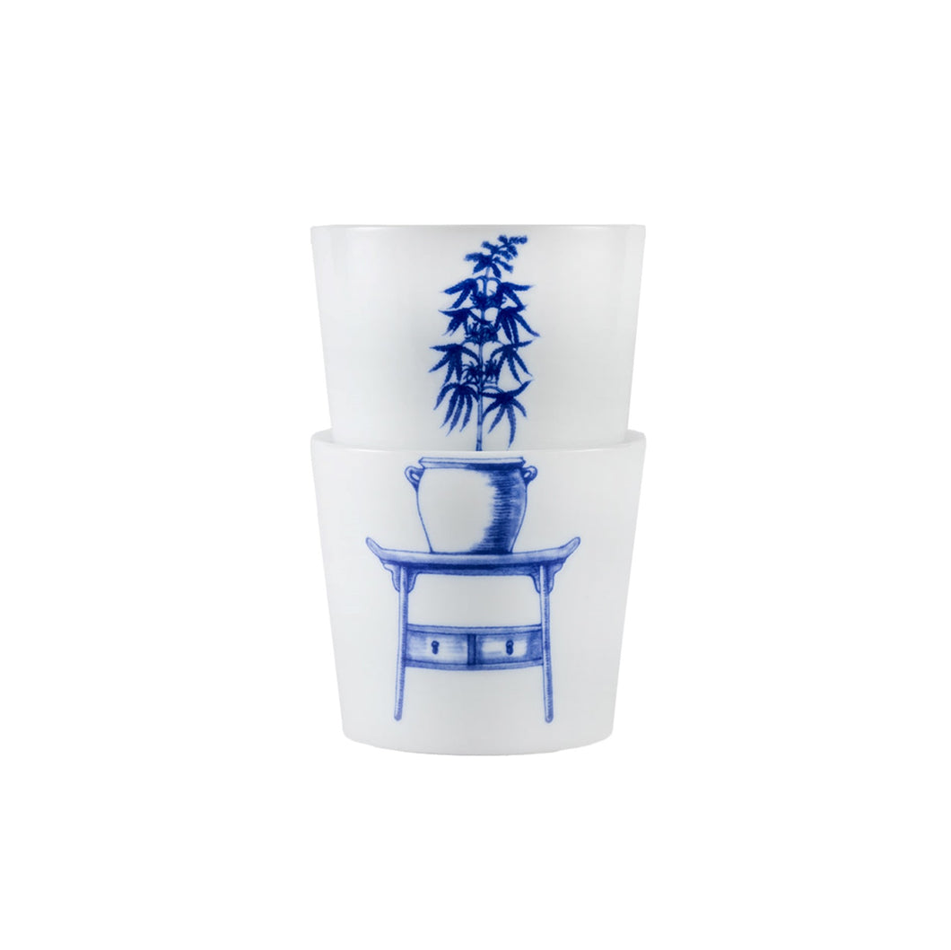 Bonsai cups Weed