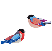 Afbeelding in Gallery-weergave laden, Studio ROOF | Finches
