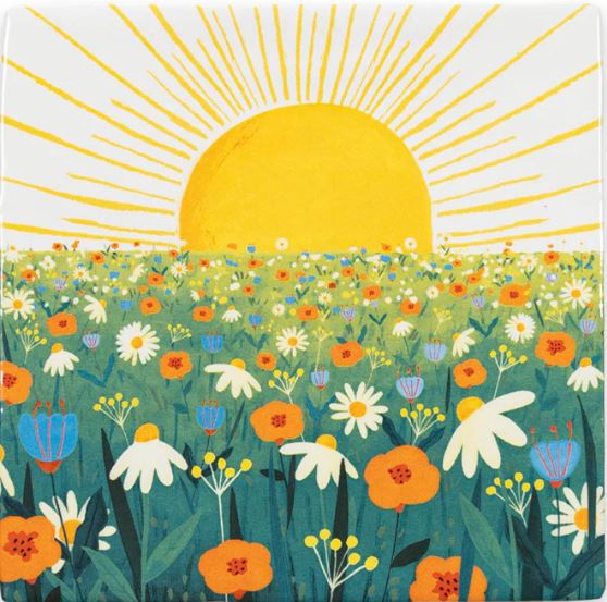 StoryTiles | The sun will shine on you